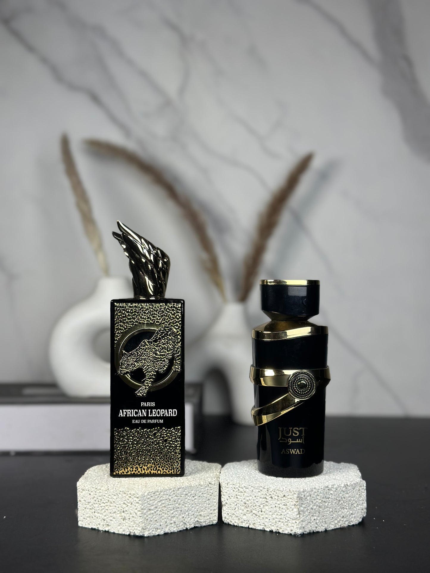 African Leopard & Just Aswad